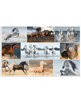 Herma Desk pad 550 x 350 mm, horses