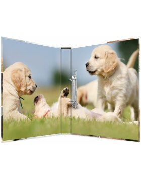Herma Ring binder A4 cardboard 2D dogs
