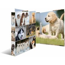 Herma Ring binder A4 cardboard 2D dogs