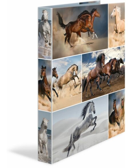 Herma Ringbuch A4 Karton 2D Pferde