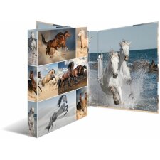 Herma Ring binder A4 cardboard 2D horses