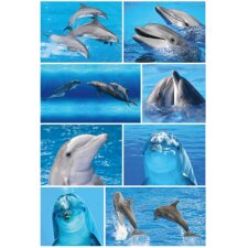 Herma decor Sticker Dolfijnen