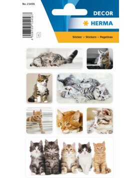 Herma DECOR Sticker Katzenkinder