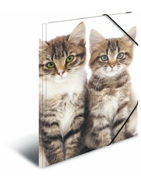 Herma Elasticated folder A4 PP - Cats