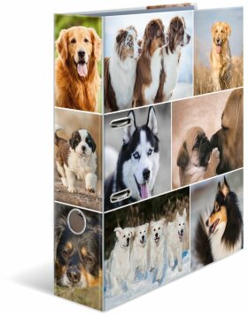 Herma Motif Folder A4 Animales - Perros