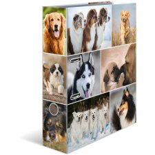 Herma Motiv-Ordner A4 Animals - Hunde
