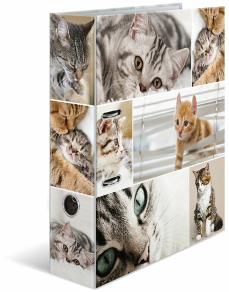 Herma Motiv-Ordner A4 Animals - Katzen
