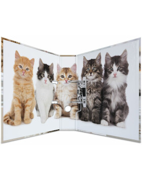 Herma Motif Folder A4 Animales - Gatos