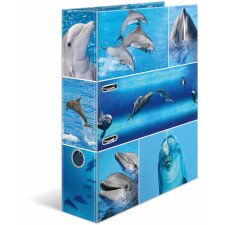 Herma Folder motywacyjny a4 Zwierzeta - Delfiny