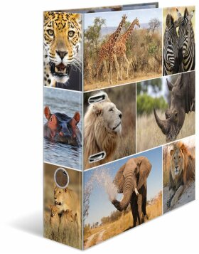 Herma Motif Folder A4 Animales - Africa Animales