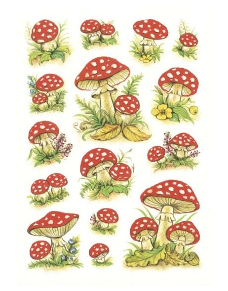DECOR Mushrooms