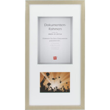 Silverlining document frame 30x60 cm birch
