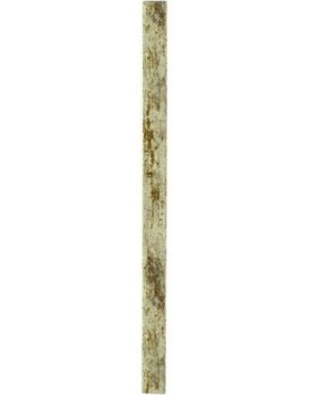 Marco de plástico Charm, Champán, 10 x 15 cm
