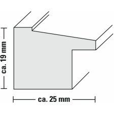 Sierra Plastic Frame with bevel cut mat