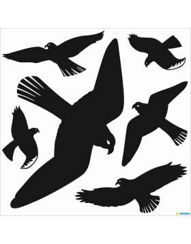 herma 30x30 cm etichette avviso uccelli decorazione finestra