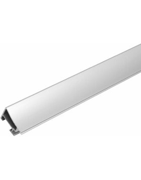 s021d1 Zilverkleurig aluminium frame 30x45 cm