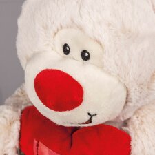 Photo Teddy DD95W white with picture frame
