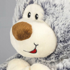 Photo Teddy DD98G gray with picture frame