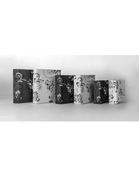 ZEP Álbum de Fotos Umbria 30x30 cm 60 páginas negro