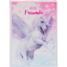 Goldbuch Freundebuch Pegasus 15x21 cm 88 Seiten