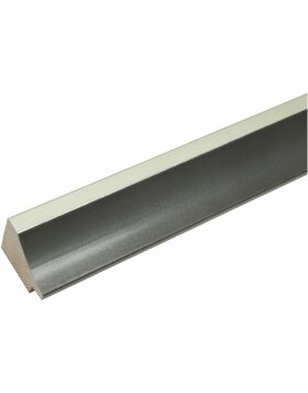 S46GD7 Rahmen in grau kombiniert mit silberfarbe
