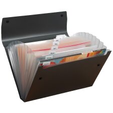 Pentel Document Folder Organiser a4 czarny