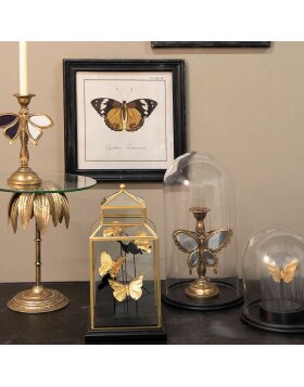 Candlestick butterfly 16x9x23 cm - Clayre & Eef 6PR2561