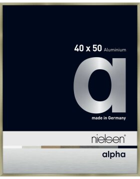 Cornice Nielsen in alluminio Alpha 40x50 cm in acciaio inox spazzolato