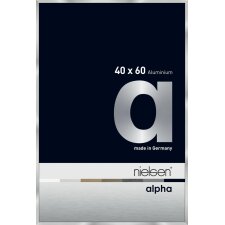 Cornice Nielsen in alluminio Alpha 40x60 cm argento