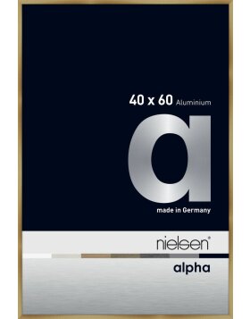 Nielsen Aluminium Bilderrahmen Alpha 40x60 cm brushed amber