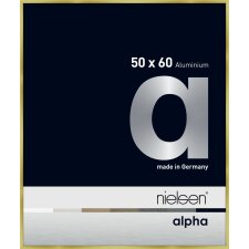 Cornice Nielsen in alluminio Alpha 50x60 cm oro spazzolato