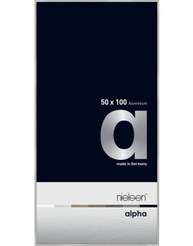 Nielsen Marco de aluminio Alpha 50x100 cm plata mate