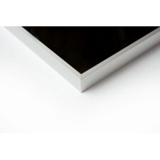 Nielsen Aluminium fotolijst Alpha 50x100 cm zilver mat
