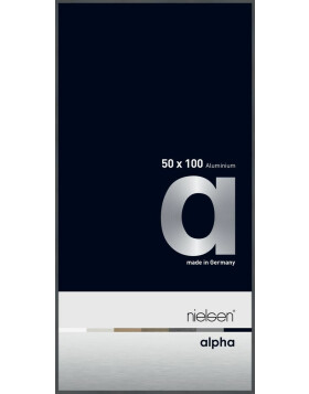 Marco de aluminio Nielsen Alpha 50x100 cm gris oscuro brillante
