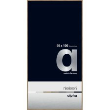 Cornice Nielsen in alluminio Alpha 50x100 cm rovere