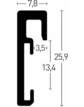 Marco de aluminio Nielsen Alpha 59,4x84,1 cm ámbar cepillado