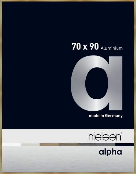 Cornice Nielsen in alluminio Alpha 70x90 cm spazzolato ambra