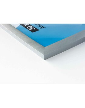 Accent aluminium lijst Largo 30x40 cm structuur zilver mat