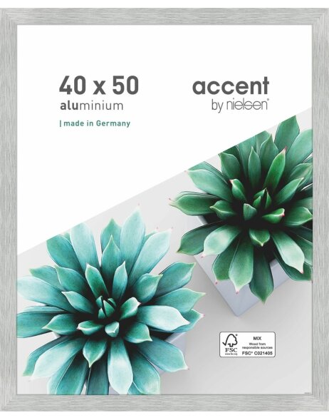Accent aluminium picture frame Star 40x50 cm structure silver matt