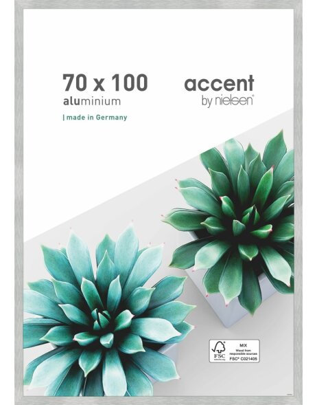 Accent aluminium picture frame Star 70x100 cm structure silver matt