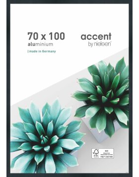 Accent aluminium picture frame Star 70x100 cm structure...