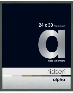 Nielsen Aluminium Bilderrahmen Alpha TCSC 24x30 cm platin
