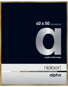 Nielsen aluminium cadre photo Alpha TCSC 40x50 cm brushed...