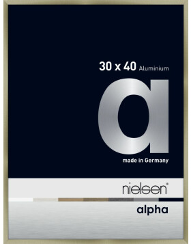 Nielsen Aluminium Bilderrahmen Alpha TCSC 30x40 cm brushed edelstahl