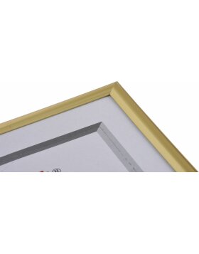 KLS plastic picture frame 70x100 cm gold  Series 42
