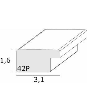 S42PD1 Cornice in plastica 21x29,7 cm argento