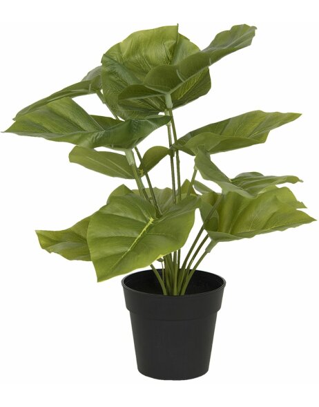 Dekoration k&uuml;nstliche Pflanze 30x30x34 cm gr&uuml;n 6PL0216