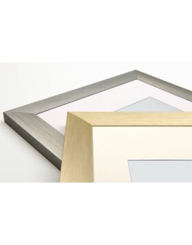aluminium frame ALULINE 10x15 cm steel