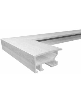 Aluminiumrahmen ALULINE - 50x50 cm - stahl