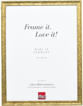 Effect Wooden Frame Profile 2070 Museum Glass 50x100 cm gold